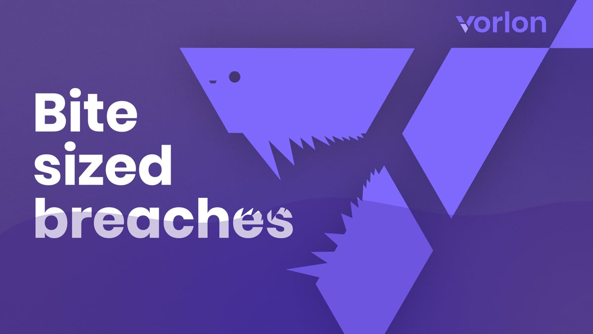 HealthEquity Breach - And How Vorlon Can Help