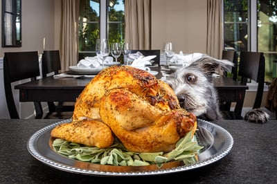 Giving Thanks: Why CISOs Owe a Feast of Gratitude to Their Security Teams