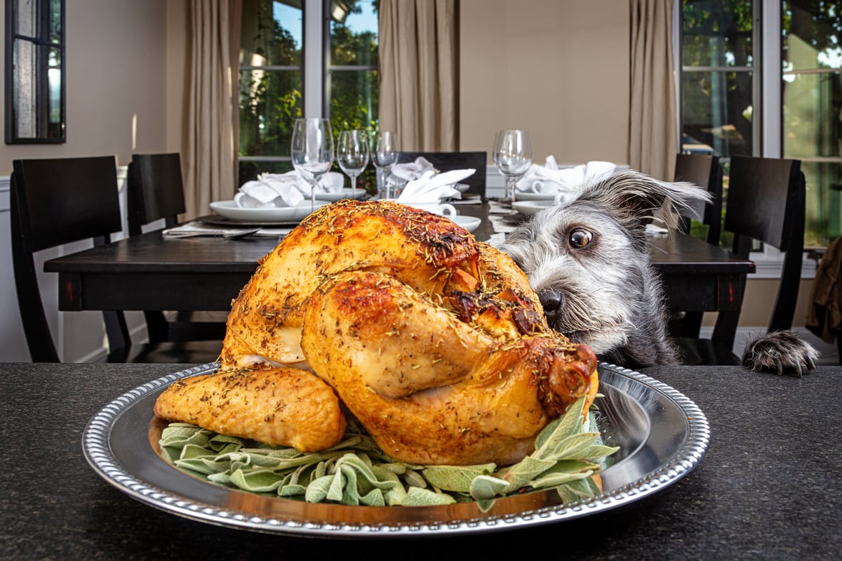 Giving Thanks: Why CISOs Owe a Feast of Gratitude to Their Security Teams
